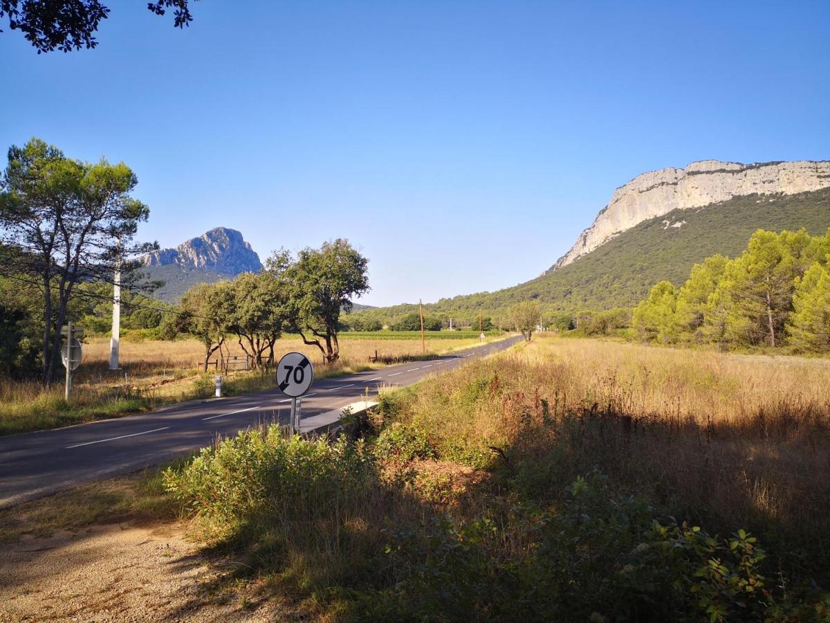 Montcalm Climatise En Plein Ecusson Lägenhet Montpellier Exteriör bild