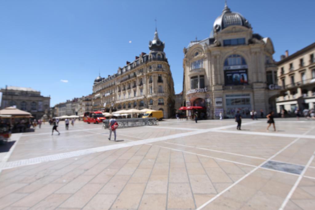 Montcalm Climatise En Plein Ecusson Lägenhet Montpellier Exteriör bild